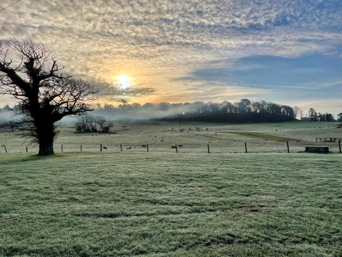 Cottars Lägenhet Winfrith Newburgh Exteriör bild