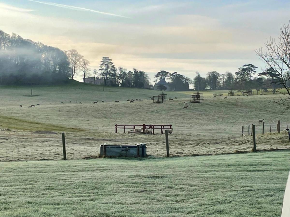 Cottars Lägenhet Winfrith Newburgh Exteriör bild